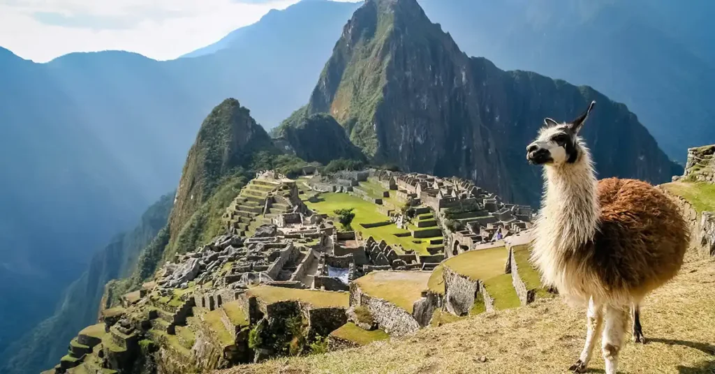 Viagem Romântica Gastando Pouco: 3 Destinos Internacionais para Casais
Quer viver momentos inesquecíveis com seu amor sem comprometer o orçamento? Viajar a dois não precisa ser caro para ser especial. Existem destinos internacionais que combinam romantismo, cultura e economia, perfeitos para casais que desejam explorar o mundo sem gastar muito. Neste artigo, vamos revelar três destinos incríveis onde o real brasileiro rende mais, oferecendo experiências únicas com preços acessíveis. Já imaginou passear por praias paradisíacas, explorar cidades históricas ou saborear uma culinária exótica sem estourar o bolso? Continue lendo e descubra como planejar sua próxima aventura romântica!
Por que escolher destinos internacionais baratos?
Viajar para o exterior pode parecer um sonho distante, mas com planejamento e as escolhas certas, é possível criar memórias incríveis sem gastar uma fortuna. Destinos onde o real tem maior poder de compra permitem que casais desfrutem de hospedagens confortáveis, refeições deliciosas e passeios únicos por preços surpreendentemente baixos. Além disso, esses lugares oferecem uma combinação perfeita de cultura, natureza e romantismo, ideais para fortalecer laços e criar histórias para contar. Pronto para conhecer os três destinos que vão transformar sua viagem a dois?
1. Peru: História, Cultura e Economia em um Só Lugar
Por que escolher o Peru?
O Peru, localizado na América do Sul, é um destino que une história, aventura e preços acessíveis. Com o real valendo mais que a moeda local, o sol peruano, você pode desfrutar de experiências incríveis sem pesar no bolso. Já pensou em explorar ruínas incas, saborear pratos típicos e se hospedar em hotéis charmosos por valores que cabem no orçamento?
O que fazer no Peru?
Em Lima, a capital, o bairro de Miraflores é perfeito para casais. Passeie pelo Parque do Amor, com vistas deslumbrantes do Pacífico, ou visite o Circuito Mágico das Águas, um show de luzes e fontes que custa apenas R$6 por pessoa. Em Cusco, a Plaza de Armas e o mercado San Pedro oferecem uma imersão na cultura local sem custo. E, claro, Machu Picchu é imperdível: a entrada, com trem e guia, sai por cerca de R$400 a R$600, mas vale cada centavo pela experiência única.
Quanto custa?
Hospedagens em Cusco custam a partir de R$60 a R$100 por casal, com ótimas avaliações. Refeições típicas, como ceviche ou lomo saltado, saem por R$15 a R$25 em restaurantes locais. Para lanches de rua, como empanadas, espere gastar entre R$5 e R$15. Táxis ou Uber custam entre R$5 e R$15, tornando o transporte acessível.
Dica de ouro
Use milhas aéreas para economizar nas passagens. Estratégias de acúmulo de milhas podem reduzir até 90% dos custos de voos, deixando mais orçamento para aproveitar o destino.
2. Sri Lanka: Praias, Templos e Aventura a Preços Baixos
Por que escolher Sri Lanka?
Sri Lanka é um tesouro escondido na Ásia, perfeito para casais que buscam romantismo e aventura. Após uma crise econômica, a moeda local desvalorizou, tornando o destino extremamente acessível para brasileiros. Com R$1 valendo mais de 53 rupias cingalesas, você pode desfrutar de praias paradisíacas, templos históricos e uma culinária única sem gastar muito. Já imaginou um jantar romântico à beira-mar por menos de R$25?
O que fazer em Sri Lanka?
Em Colombo, visite o Templo Gangaramaya por apenas R$5 ou explore o vibrante mercado Pettah para provar comidas de rua. Em Sigiriya, suba a Lion Rock, uma das sete maravilhas da Ásia, por R$80, ou opte pela trilha mais barata de Pidurangala Rock (R$15) com vistas igualmente incríveis. Na cidade de Ella, a Ponte dos Nove Arcos e o Little Adam’s Peak oferecem passeios gratuitos com cenários de tirar o fôlego. Não deixe de visitar as plantações de chá, onde é possível degustar chás sem custo.
Quanto custa?
Acomodações para casais custam a partir de R$100 por noite. Refeições completas em restaurantes turísticos saem por R$25, enquanto frutas frescas e lanches de rua custam entre R$2 e R$4. Transporte local é um destaque: trens turísticos custam entre R$5 e R$10, e tuk-tuks podem ser alugados por cerca de R$50 por dia.
Dica de ouro
Viaje entre dezembro e abril, durante a estação seca, para aproveitar o melhor clima. Negocie preços em mercados e tuk-tuks para economizar ainda mais.
3. Indonésia: Romance nas Praias e Trilhas de Lombok e Gili
Por que escolher a Indonésia?
Fora dos circuitos turísticos mais caros, como Bali, a Indonésia oferece destinos como Lombok e as Ilhas Gili, perfeitos para casais que buscam praias cristalinas e aventuras românticas. Com custos acessíveis e uma atmosfera tranquila, esses locais são ideais para relaxar e se conectar. Já pensou em um piquenique à beira-mar com seu amor por quase nada?
O que fazer na Indonésia?
Em Lombok, explore cachoeiras como Tiu Kelep, acessíveis com trilhas gratuitas ou de baixo custo. Nas Ilhas Gili, alugue uma bicicleta por R$20 por dia e pedale por praias de águas cristalinas. Jantares românticos com frutos do mar frescos custam a partir de R$25, perfeitos para um momento especial ao pôr do sol. Para casais aventureiros, snorkeling nas Gili é acessível e inesquecível.
Quanto custa?
Acomodações em Lombok e Gili custam a partir de R$100 por casal. Refeições completas, incluindo pratos com frutos do mar, saem por R$25 a R$40. Transporte local, como barcos entre ilhas, custa entre R$20 e R$50.
Dica de ouro
Planeje refeições em restaurantes locais e evite áreas muito turísticas para economizar. Um piquenique na praia com produtos comprados em mercados locais é uma forma romântica e barata de aproveitar o dia.
Como planejar sua viagem romântica gastando pouco?
Planejar uma viagem econômica exige algumas estratégias simples. Primeiro, pesquise passagens com antecedência e use programas de milhas para reduzir custos. Segundo, opte por hospedagens em bairros menos turísticos, que oferecem preços mais baixos sem perder o charme. Por fim, priorize atividades gratuitas, como passeios a pé, parques e mercados locais. Quer mais dicas para economizar? Confira nosso guia de planejamento de viagens baratas no site!
Palavras do Especialista
"Viajar a dois é uma oportunidade de criar memórias que duram a vida toda. Escolher destinos como Peru, Sri Lanka e Indonésia permite que casais vivam experiências ricas sem comprometer as finanças. A chave é planejar com antecedência e aproveitar as vantagens de moedas desvalorizadas e atividades gratuitas." – João Carvalho, especialista em viagens econômicas.
FAQ
Qual é o destino mais barato para casais em 2025?
Peru é uma das opções mais acessíveis, com hospedagens a partir de R$60 por casal e refeições típicas por R$15 a R$25.
Como economizar em passagens aéreas para destinos internacionais?
Use programas de milhas aéreas e pesquise voos com antecedência. Sites de comparação de preços e alertas de promoções também ajudam.
Esses destinos são seguros para casais?
Sim, Peru, Sri Lanka e Indonésia são destinos turísticos consolidados, com boa receptividade a brasileiros. Sempre siga orientações locais e evite áreas isoladas à noite.
Conclusão: Sua Viagem Romântica Está ao Seu Alcance!
Peru, Sri Lanka e Indonésia provam que é possível viajar para o exterior com romantismo e economia. Com planejamento e as dicas certas, você e seu amor podem explorar culturas vibrantes, paisagens deslumbrantes e sabores únicos sem estourar o orçamento. Qual desses destinos mais chamou sua atenção? Compartilhe nos comentários e inspire outros casais! Não deixe de conferir outros guias de viagem em nosso site e planeje hoje mesmo sua próxima aventura a dois.
CTA: Gostou das dicas? Salve este artigo, compartilhe com seu parceiro(a) e comece a planejar sua viagem! Veja também nosso guia de destinos nacionais baratos para mais inspirações.
Meta Description: Descubra 3 destinos internacionais baratos para casais: Peru, Sri Lanka e Indonésia. Planeje uma viagem romântica gastando pouco! (134 caracteres)
Palavras-chave: viagem romântica, destinos baratos, viagem para casais, Peru viagem, Sri Lanka turismo, Indonésia praias, viajar gastando pouco
Fontes Confiáveis:
Lonely Planet: https://www.lonelyplanet.com
Nomadic Matt: https://www.nomadicmatt.com
World Travel Guide: https://www.worldtravelguide.net
Slug: viagem-romantica-gastando-pouco-3-destinos-internacionais
Palavra-chave Foco: viagem romântica gastando pouco