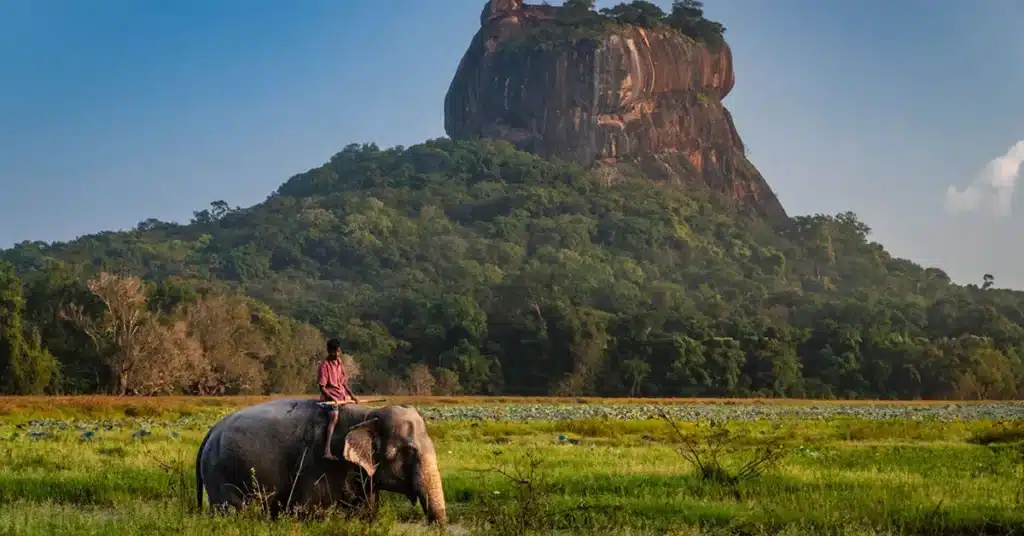 Viagem Romântica Gastando Pouco: 3 Destinos Internacionais para Casais
Quer viver momentos inesquecíveis com seu amor sem comprometer o orçamento? Viajar a dois não precisa ser caro para ser especial. Existem destinos internacionais que combinam romantismo, cultura e economia, perfeitos para casais que desejam explorar o mundo sem gastar muito. Neste artigo, vamos revelar três destinos incríveis onde o real brasileiro rende mais, oferecendo experiências únicas com preços acessíveis. Já imaginou passear por praias paradisíacas, explorar cidades históricas ou saborear uma culinária exótica sem estourar o bolso? Continue lendo e descubra como planejar sua próxima aventura romântica!
Por que escolher destinos internacionais baratos?
Viajar para o exterior pode parecer um sonho distante, mas com planejamento e as escolhas certas, é possível criar memórias incríveis sem gastar uma fortuna. Destinos onde o real tem maior poder de compra permitem que casais desfrutem de hospedagens confortáveis, refeições deliciosas e passeios únicos por preços surpreendentemente baixos. Além disso, esses lugares oferecem uma combinação perfeita de cultura, natureza e romantismo, ideais para fortalecer laços e criar histórias para contar. Pronto para conhecer os três destinos que vão transformar sua viagem a dois?
1. Peru: História, Cultura e Economia em um Só Lugar
Por que escolher o Peru?
O Peru, localizado na América do Sul, é um destino que une história, aventura e preços acessíveis. Com o real valendo mais que a moeda local, o sol peruano, você pode desfrutar de experiências incríveis sem pesar no bolso. Já pensou em explorar ruínas incas, saborear pratos típicos e se hospedar em hotéis charmosos por valores que cabem no orçamento?
O que fazer no Peru?
Em Lima, a capital, o bairro de Miraflores é perfeito para casais. Passeie pelo Parque do Amor, com vistas deslumbrantes do Pacífico, ou visite o Circuito Mágico das Águas, um show de luzes e fontes que custa apenas R$6 por pessoa. Em Cusco, a Plaza de Armas e o mercado San Pedro oferecem uma imersão na cultura local sem custo. E, claro, Machu Picchu é imperdível: a entrada, com trem e guia, sai por cerca de R$400 a R$600, mas vale cada centavo pela experiência única.
Quanto custa?
Hospedagens em Cusco custam a partir de R$60 a R$100 por casal, com ótimas avaliações. Refeições típicas, como ceviche ou lomo saltado, saem por R$15 a R$25 em restaurantes locais. Para lanches de rua, como empanadas, espere gastar entre R$5 e R$15. Táxis ou Uber custam entre R$5 e R$15, tornando o transporte acessível.
Dica de ouro
Use milhas aéreas para economizar nas passagens. Estratégias de acúmulo de milhas podem reduzir até 90% dos custos de voos, deixando mais orçamento para aproveitar o destino.
2. Sri Lanka: Praias, Templos e Aventura a Preços Baixos
Por que escolher Sri Lanka?
Sri Lanka é um tesouro escondido na Ásia, perfeito para casais que buscam romantismo e aventura. Após uma crise econômica, a moeda local desvalorizou, tornando o destino extremamente acessível para brasileiros. Com R$1 valendo mais de 53 rupias cingalesas, você pode desfrutar de praias paradisíacas, templos históricos e uma culinária única sem gastar muito. Já imaginou um jantar romântico à beira-mar por menos de R$25?
O que fazer em Sri Lanka?
Em Colombo, visite o Templo Gangaramaya por apenas R$5 ou explore o vibrante mercado Pettah para provar comidas de rua. Em Sigiriya, suba a Lion Rock, uma das sete maravilhas da Ásia, por R$80, ou opte pela trilha mais barata de Pidurangala Rock (R$15) com vistas igualmente incríveis. Na cidade de Ella, a Ponte dos Nove Arcos e o Little Adam’s Peak oferecem passeios gratuitos com cenários de tirar o fôlego. Não deixe de visitar as plantações de chá, onde é possível degustar chás sem custo.
Quanto custa?
Acomodações para casais custam a partir de R$100 por noite. Refeições completas em restaurantes turísticos saem por R$25, enquanto frutas frescas e lanches de rua custam entre R$2 e R$4. Transporte local é um destaque: trens turísticos custam entre R$5 e R$10, e tuk-tuks podem ser alugados por cerca de R$50 por dia.
Dica de ouro
Viaje entre dezembro e abril, durante a estação seca, para aproveitar o melhor clima. Negocie preços em mercados e tuk-tuks para economizar ainda mais.
3. Indonésia: Romance nas Praias e Trilhas de Lombok e Gili
Por que escolher a Indonésia?
Fora dos circuitos turísticos mais caros, como Bali, a Indonésia oferece destinos como Lombok e as Ilhas Gili, perfeitos para casais que buscam praias cristalinas e aventuras românticas. Com custos acessíveis e uma atmosfera tranquila, esses locais são ideais para relaxar e se conectar. Já pensou em um piquenique à beira-mar com seu amor por quase nada?
O que fazer na Indonésia?
Em Lombok, explore cachoeiras como Tiu Kelep, acessíveis com trilhas gratuitas ou de baixo custo. Nas Ilhas Gili, alugue uma bicicleta por R$20 por dia e pedale por praias de águas cristalinas. Jantares românticos com frutos do mar frescos custam a partir de R$25, perfeitos para um momento especial ao pôr do sol. Para casais aventureiros, snorkeling nas Gili é acessível e inesquecível.
Quanto custa?
Acomodações em Lombok e Gili custam a partir de R$100 por casal. Refeições completas, incluindo pratos com frutos do mar, saem por R$25 a R$40. Transporte local, como barcos entre ilhas, custa entre R$20 e R$50.
Dica de ouro
Planeje refeições em restaurantes locais e evite áreas muito turísticas para economizar. Um piquenique na praia com produtos comprados em mercados locais é uma forma romântica e barata de aproveitar o dia.
Como planejar sua viagem romântica gastando pouco?
Planejar uma viagem econômica exige algumas estratégias simples. Primeiro, pesquise passagens com antecedência e use programas de milhas para reduzir custos. Segundo, opte por hospedagens em bairros menos turísticos, que oferecem preços mais baixos sem perder o charme. Por fim, priorize atividades gratuitas, como passeios a pé, parques e mercados locais. Quer mais dicas para economizar? Confira nosso guia de planejamento de viagens baratas no site!
Palavras do Especialista
"Viajar a dois é uma oportunidade de criar memórias que duram a vida toda. Escolher destinos como Peru, Sri Lanka e Indonésia permite que casais vivam experiências ricas sem comprometer as finanças. A chave é planejar com antecedência e aproveitar as vantagens de moedas desvalorizadas e atividades gratuitas." – João Carvalho, especialista em viagens econômicas.
FAQ
Qual é o destino mais barato para casais em 2025?
Peru é uma das opções mais acessíveis, com hospedagens a partir de R$60 por casal e refeições típicas por R$15 a R$25.
Como economizar em passagens aéreas para destinos internacionais?
Use programas de milhas aéreas e pesquise voos com antecedência. Sites de comparação de preços e alertas de promoções também ajudam.
Esses destinos são seguros para casais?
Sim, Peru, Sri Lanka e Indonésia são destinos turísticos consolidados, com boa receptividade a brasileiros. Sempre siga orientações locais e evite áreas isoladas à noite.
Conclusão: Sua Viagem Romântica Está ao Seu Alcance!
Peru, Sri Lanka e Indonésia provam que é possível viajar para o exterior com romantismo e economia. Com planejamento e as dicas certas, você e seu amor podem explorar culturas vibrantes, paisagens deslumbrantes e sabores únicos sem estourar o orçamento. Qual desses destinos mais chamou sua atenção? Compartilhe nos comentários e inspire outros casais! Não deixe de conferir outros guias de viagem em nosso site e planeje hoje mesmo sua próxima aventura a dois.
CTA: Gostou das dicas? Salve este artigo, compartilhe com seu parceiro(a) e comece a planejar sua viagem! Veja também nosso guia de destinos nacionais baratos para mais inspirações.
Meta Description: Descubra 3 destinos internacionais baratos para casais: Peru, Sri Lanka e Indonésia. Planeje uma viagem romântica gastando pouco! (134 caracteres)
Palavras-chave: viagem romântica, destinos baratos, viagem para casais, Peru viagem, Sri Lanka turismo, Indonésia praias, viajar gastando pouco
Fontes Confiáveis:
Lonely Planet: https://www.lonelyplanet.com
Nomadic Matt: https://www.nomadicmatt.com
World Travel Guide: https://www.worldtravelguide.net
Slug: viagem-romantica-gastando-pouco-3-destinos-internacionais
Palavra-chave Foco: viagem romântica gastando pouco
